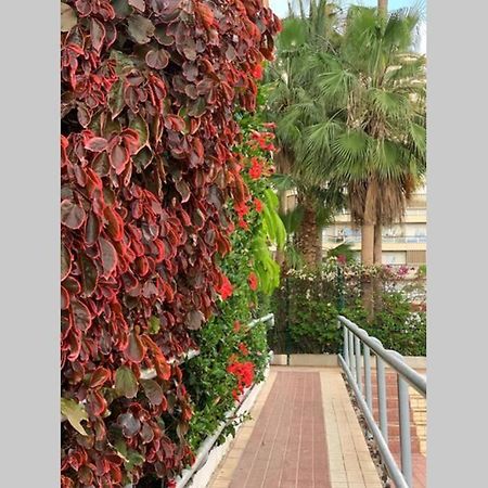 Апартаменты Jardines Del Sur, Ocean View Бусанада Экстерьер фото