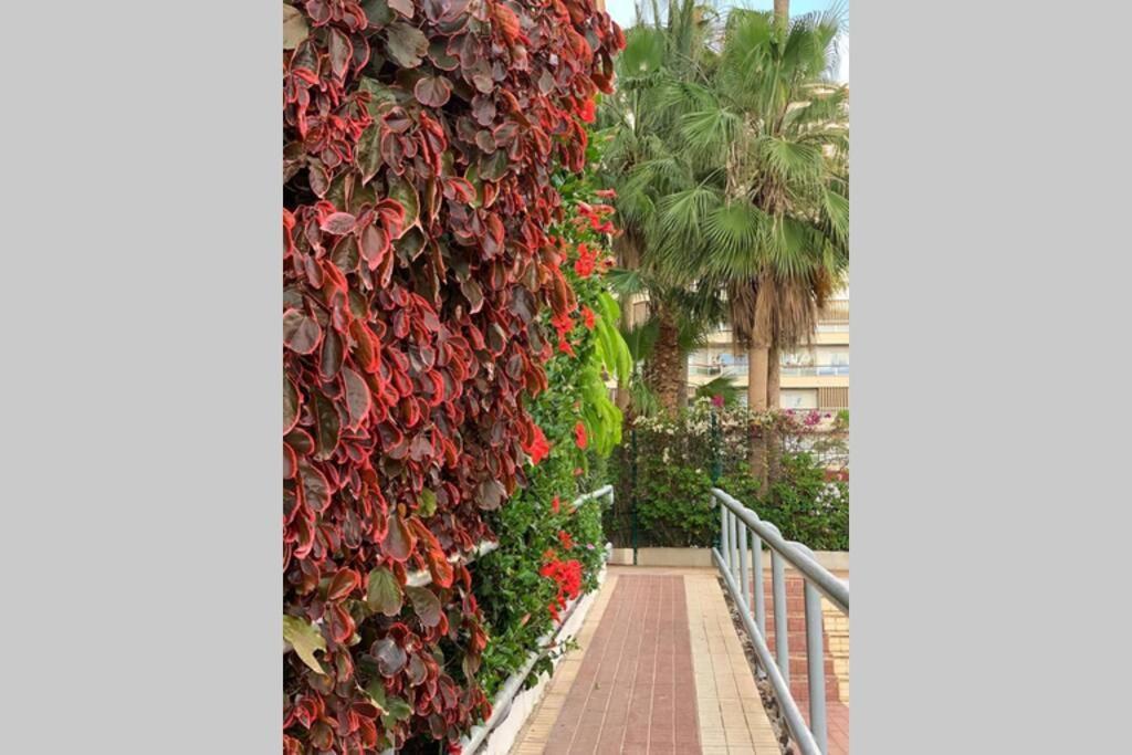 Апартаменты Jardines Del Sur, Ocean View Бусанада Экстерьер фото